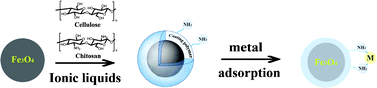 Graphical abstract: Magnetic cellulose–chitosan hydrogels prepared from ionic liquids as reusable adsorbent for removal of heavy metal ions