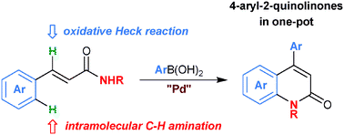 Graphical abstract: Tandem-type Pd(ii)-catalyzed oxidative Heck reaction/intramolecular C–H amidation sequence: a novel route to 4-aryl-2-quinolinones
