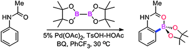 Graphical abstract: Palladium-catalyzed monoselective C–H borylation of acetanilides under acidic conditions