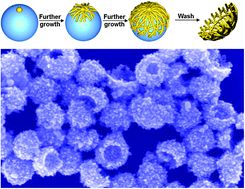 Graphical abstract: Facile synthesis of functional Au nanopatches and nanocups
