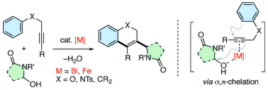 Graphical abstract: Borderline metal-catalyzed carboarylation of alkynylarenes using N,O-acetals