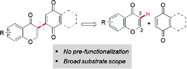 Graphical abstract: A facile route to isoflavone quinones via the direct cross-coupling of chromones and quinones