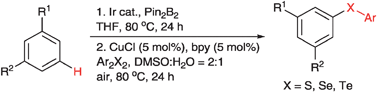 Graphical abstract: Highly regioselective synthesis of aryl chalcogenides through C–H functionalization of arenes