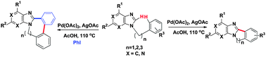 Graphical abstract: Synthesis of fused N-heterocycles via tandem C–H activation