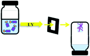 Graphical abstract: Dipeptide hydrogelation triggered via ultraviolet light