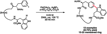 Graphical abstract: Peptidic macrocyclization via palladium-catalyzed chemoselective indole C-2 arylation