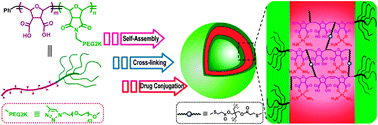 Graphical abstract: Novel drug carriers: from grafted polymers to cross-linked vesicles