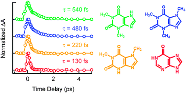 Graphical Abstract image