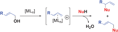 Graphical abstract: Transition metal catalyzed nucleophilic allylic substitution: activation of allylic alcohols via π-allylic species