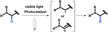 Graphical abstract: Photoredox functionalization of C–H bonds adjacent to a nitrogen atom