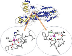 Model of the YPK9 protein