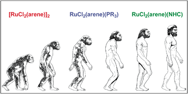 Graphical abstract: Retracing the evolution of monometallic ruthenium–arene catalysts for C–C bond formation