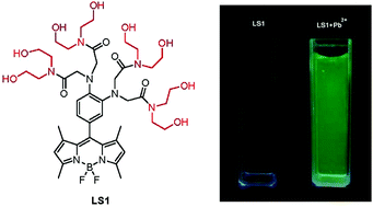 Graphical abstract: A highly sensitive and selective fluorescent chemosensor for Pb2+ ions in an aqueous solution