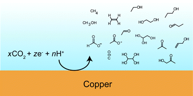 New insights into the electrochemical reduction of carbon dioxide on metallic copper surfaces