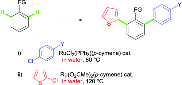 Graphical abstract: Ruthenium(ii)-catalyzed selective monoarylation in water and sequential functionalisations of C–H bonds