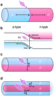 Graphical abstract: One-dimensional homogeneous and heterogeneous nanowires for solar energy conversion