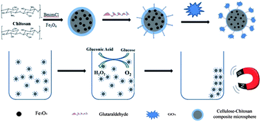 Graphical abstract: Biocompatible magnetic cellulose–chitosan hybrid gel microspheres reconstituted from ionic liquids for enzyme immobilization