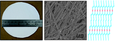 Graphical abstract: Smart polydiacetylene nanowire paper with tunable colorimetric response