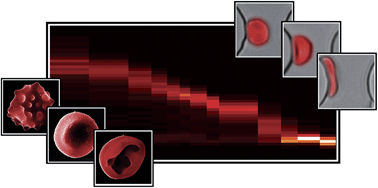 C2LC21083E graphical abstract