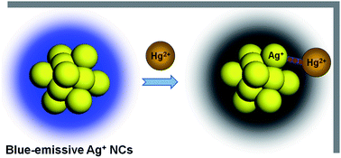 Graphical abstract image