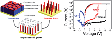 nanowires