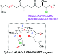 The stereocontrolled total synthesis of spirastrellolide A methyl ester.Expedient construction of the key fragments