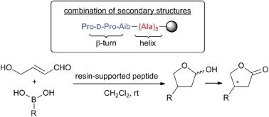 Graphical abstract: Asymmetric Michael addition of boronic acids to a -hydroxy-,-unsaturated aldehyde catalyzed by resin-supported peptide