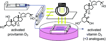 Graphical abstract: Continuous-flow synthesis of activated vitamin D3 and its analogues