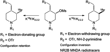 Graphical abstract: Radiolabelling of 1,4-disubstituted 3-[18F]fluoropiperidines and its application to new radiotracers for NR2B NMDA receptor visualization