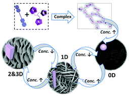 Host–guest complexation driven dynamic supramolecular self-assembly - reversible multidimensional transformation from 0D to 3D upon concentration changes