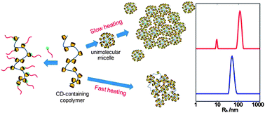 Graphical abstract: Facile glycosylation of dendrimers for eliciting specific cell–material interactions