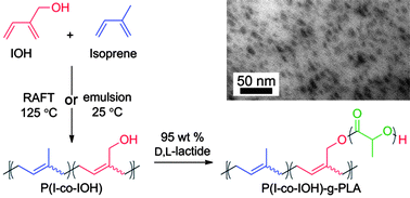 Graphical abstract: Copolymerization of isoprene and hydroxyl containing monomers by controlled radical and emulsion methods