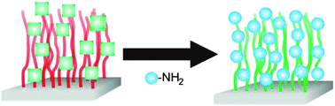 Graphical abstract: Synthesis and post-polymerization modification of poly(pentafluorophenyl methacrylate) brushes