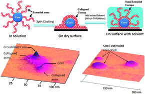Graphical abstract: In situ formation of crosslinked core–corona polymeric nanoparticles from a novel hyperbranched core