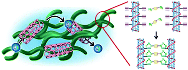 Graphical abstract: Synthesis of single-walled carbon nanotube-incorporated polymer hydrogels via click chemistry