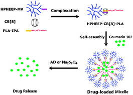 Graphical abstract: Fabrication of dual-responsive micelles based on the supramolecular interaction of cucurbit[8]uril