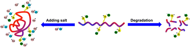 Graphical abstract: Degradable and salt-responsive random copolymers