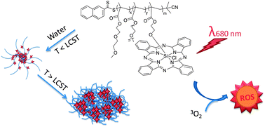 Graphical abstract: Novel phthalocyanine and PEG-methacrylates based temperature-responsive polymers for targeted photodynamic therapy