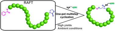 Graphical abstract: Straightforward synthesis of functionalized cyclic polymers in high yield via RAFT and thiolactone–disulfide chemistry