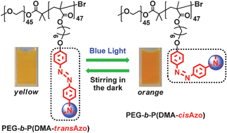 Graphical abstract: Reversible photoisomerization of azobenzene-containing polymeric systems driven by visible light