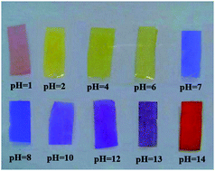 Graphical abstract: Plastic reusable pH indicator strips: preparation via anion-exchange of poly(ionic liquids) with anionic dyes