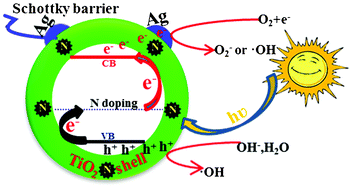 Graphical abstract: N-doped Ag/TiO2 hollow spheres for highly efficient photocatalysis under visible-light irradiation