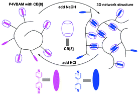 Graphical abstract: Cucurbit[8]uril inducing supramolecular hydrogels by adjusting pH