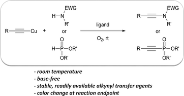 Graphical abstract: Click-alkynylation of N- and P-nucleophiles by oxidative cross-coupling with alkynylcopper reagents: a general synthesis of ynamides and alkynylphosphonates