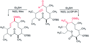 Graphical abstract: Nickel-catalyzed regiodivergent approach to macrolide motifs