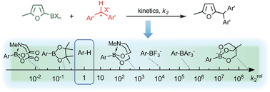 Graphical abstract: Nucleophilicity parameters for designing transition metal-free C–C bond forming reactions of organoboron compounds