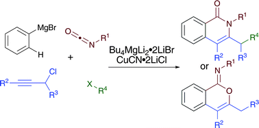 Graphical abstract: Two-, three- and four-component coupling to form isoquinolones based on directed metalation