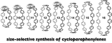 Graphical abstract: Size-selective synthesis of [9]–[11] and [13]cycloparaphenylenes