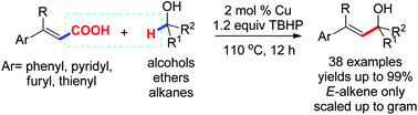 Graphical abstract: Copper-catalyzed decarboxylative alkenylation of sp3 C–H bonds with cinnamic acids via a radical process