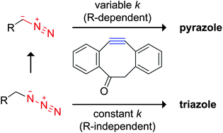 Graphical abstract: Diazo compounds as highly tunable reactants in 1,3-dipolar cycloaddition reactions with cycloalkynes